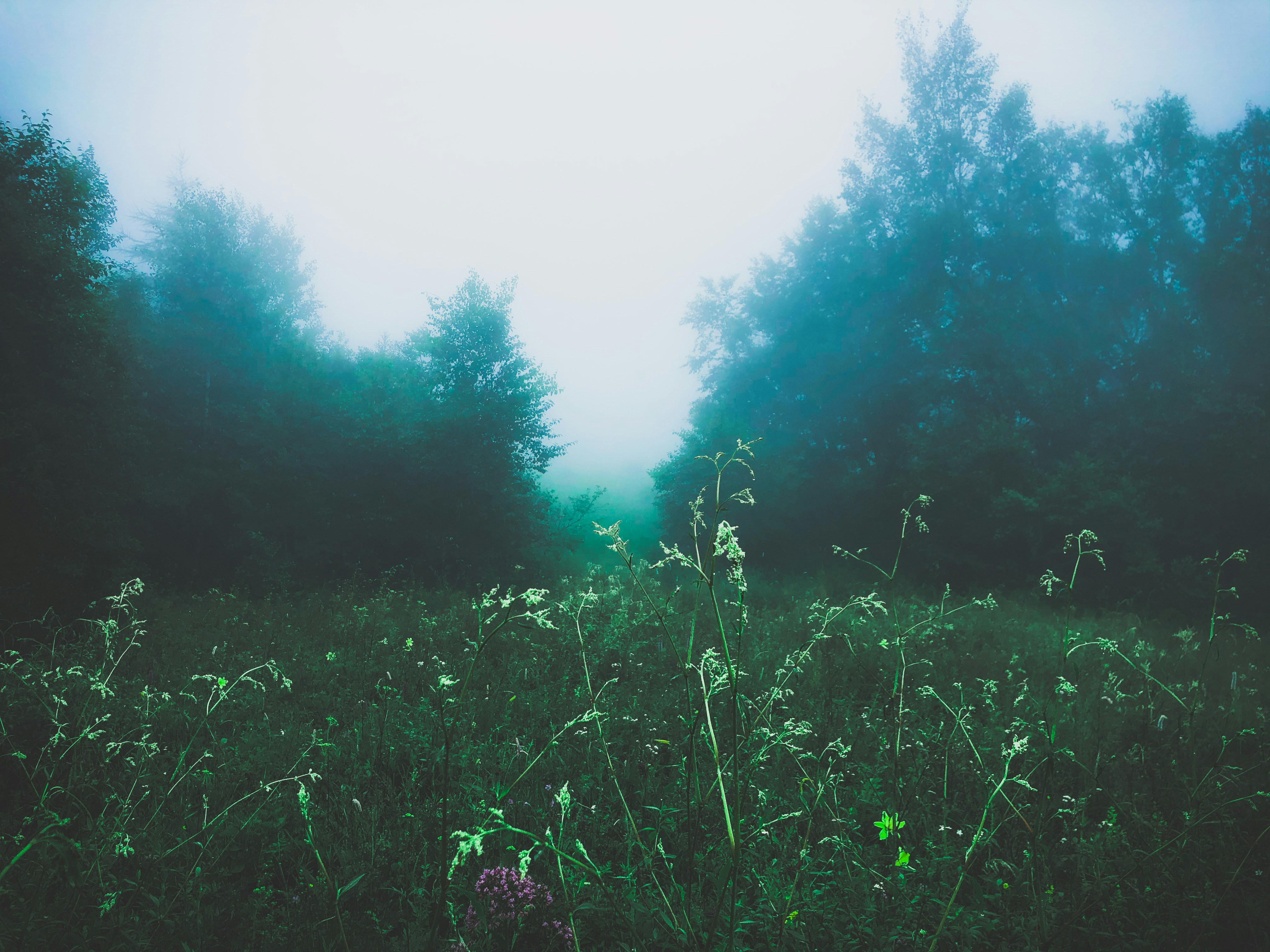 Photo by guoshiwushuang