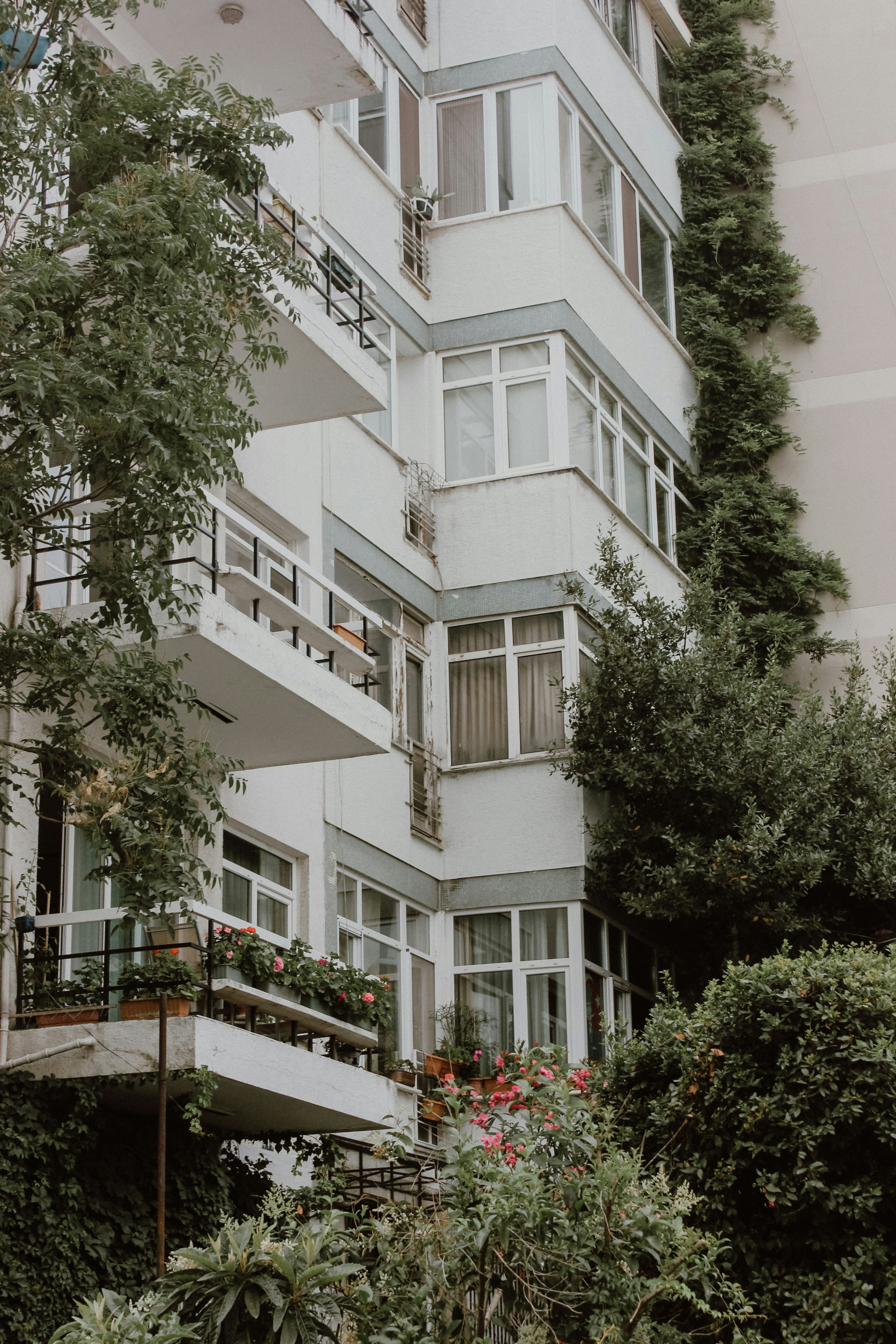Photo by damlaozkan