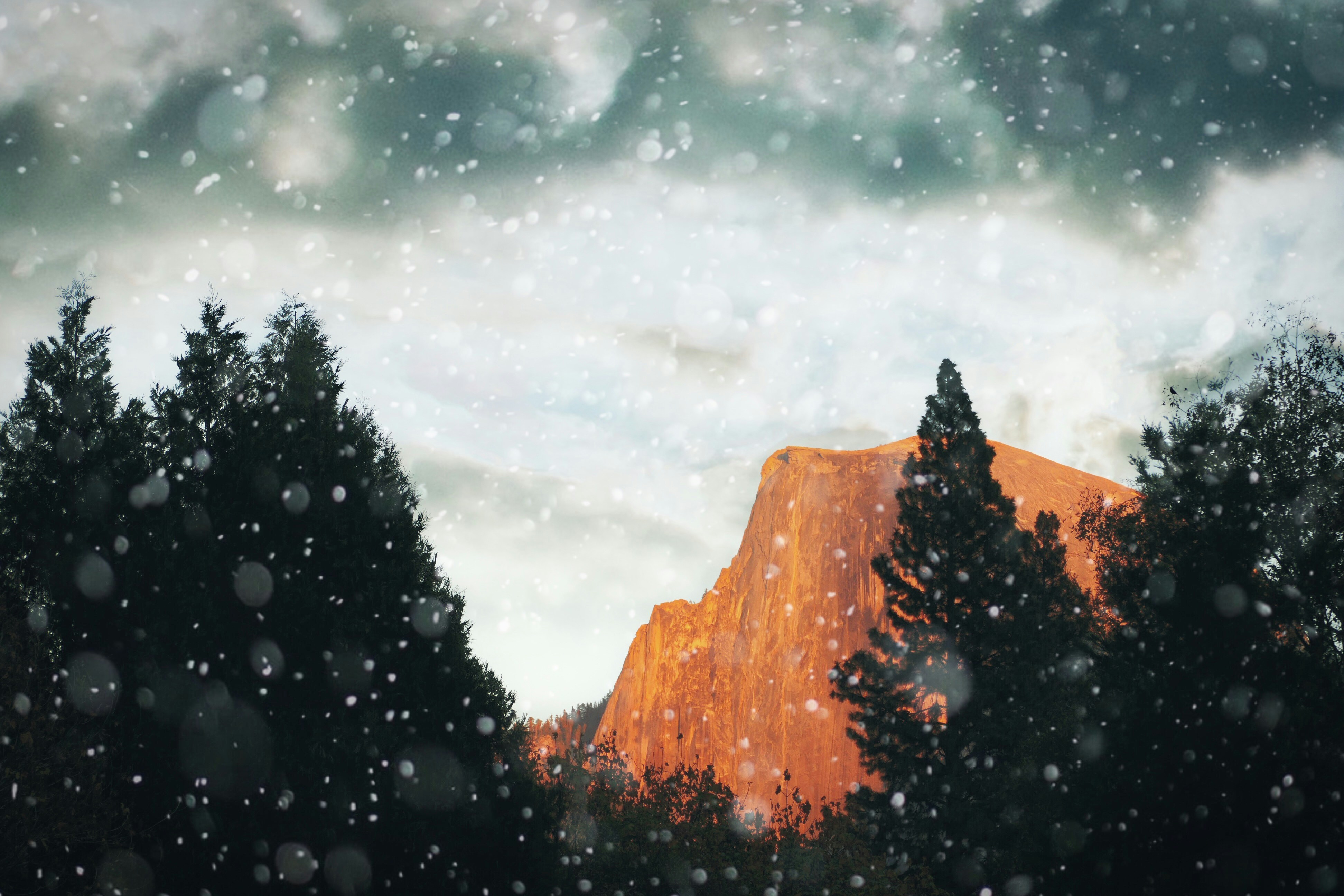 Snow drifts wash over a sunlit orange cliff framed by dark pines, forming a stark wintry landscape.