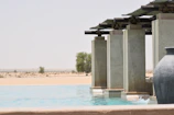 A serene poolside garden blending softscape and hardscape elements under the desert sun.