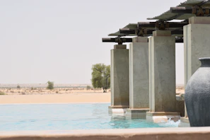 A serene poolside garden blending softscape and hardscape elements under the desert sun.