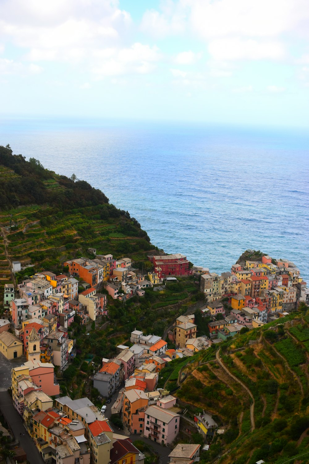 aerial view of city near body of water during daytime