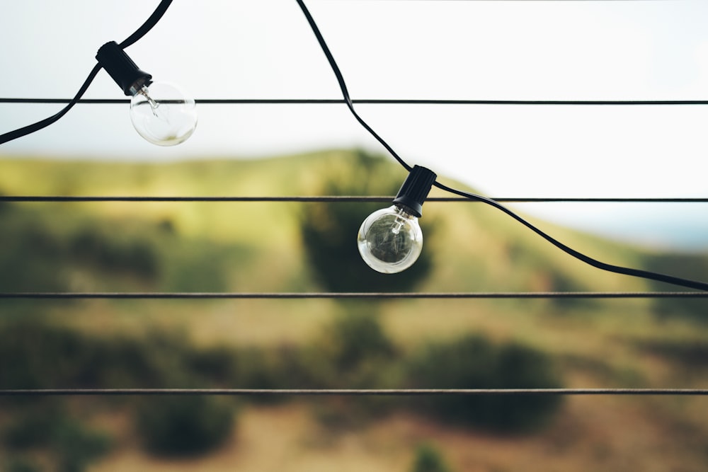 clear light bulb on black wire