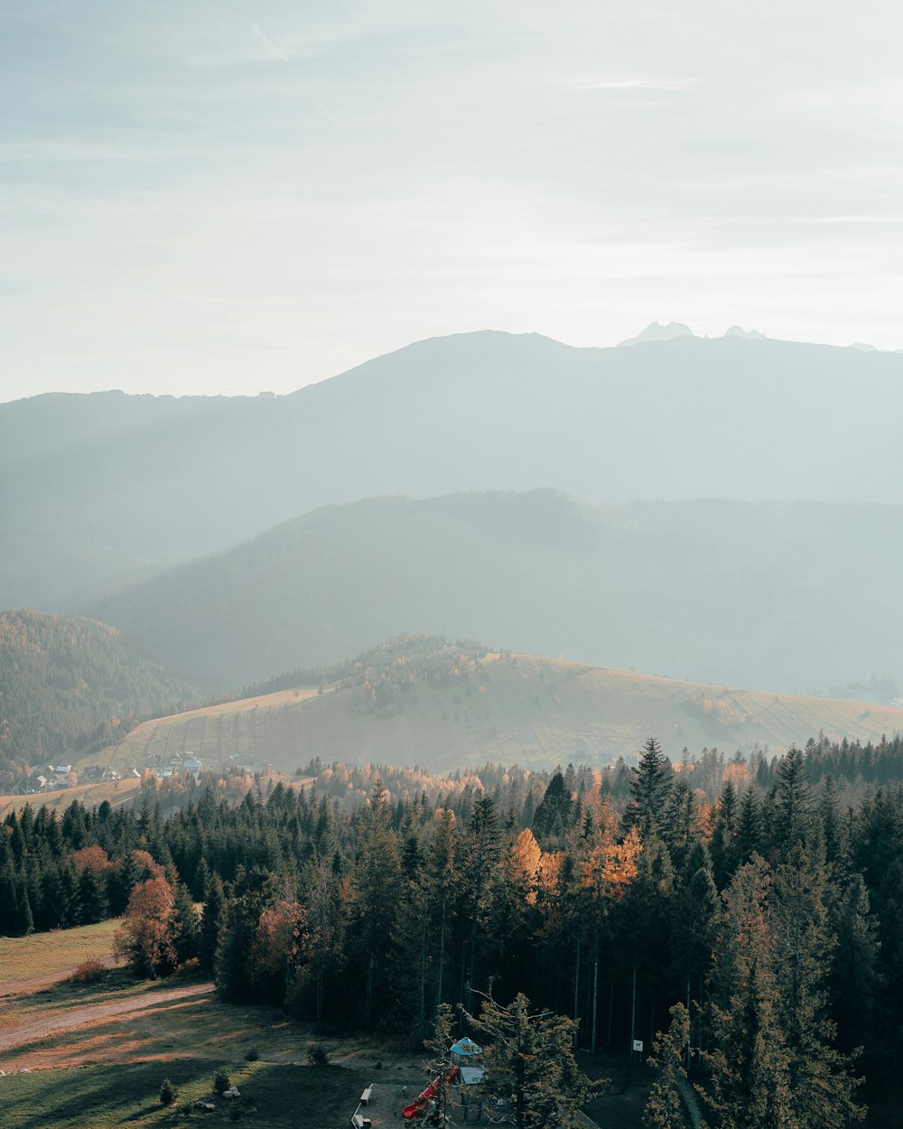 green trees on mountain during daytime