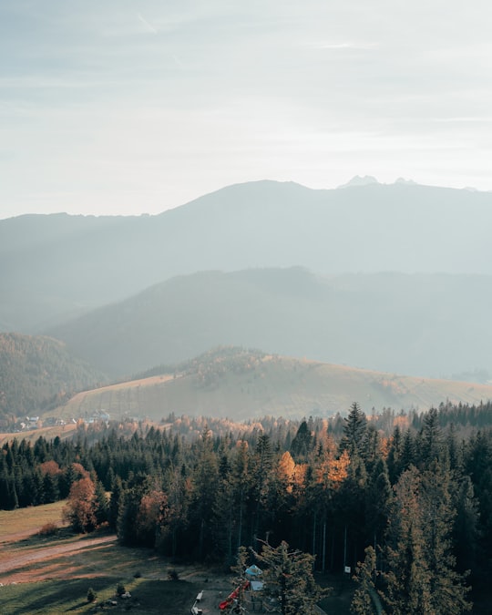 green trees on mountain during daytime in High Tatras Slovakia