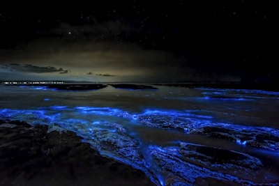 A coastal scene with glowing blue bioluminescent waves under a night sky. The sea glows with a bright blue hue, creating a striking contrast against the dark surroundings. Lights from distant cities or settlements can be seen on the horizon, and the sky is filled with clouds and faint stars.