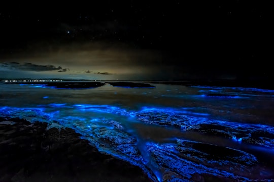 body of water during night time in Jervis Bay Australia