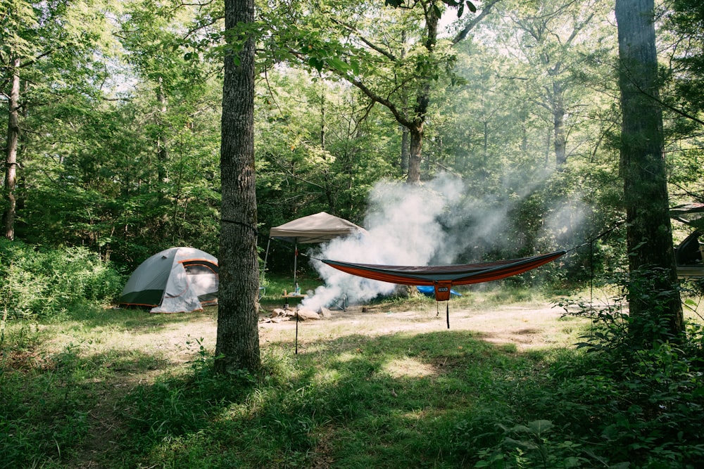 white tent on green grass field during daytime