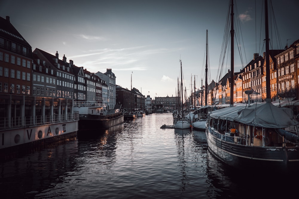 white and blue boat on river near buildings during daytime