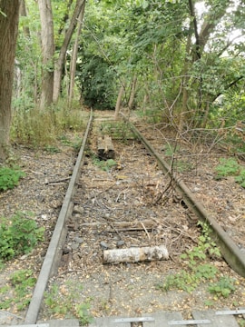 An abandoned and overgrown railway track runs through a forested area. The rails are rusted and partially obscured by fallen leaves and branches. Trees and dense greenery surround the tracks, indicating a lack of maintenance over time.
