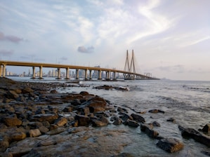 brown wooden bridge over the sea during daytime