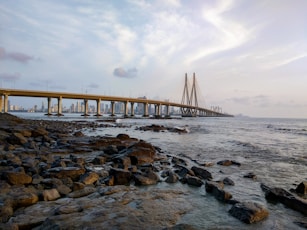 brown wooden bridge over the sea during daytime