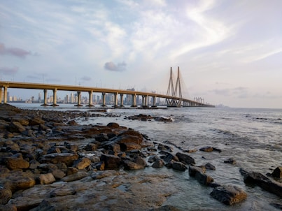 brown wooden bridge over the sea during daytime