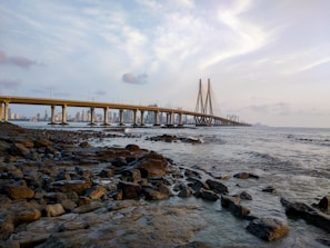 brown wooden bridge over the sea during daytime