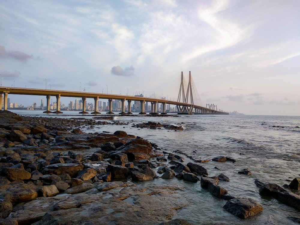 Pont en bois brun au-dessus de la mer pendant la journée