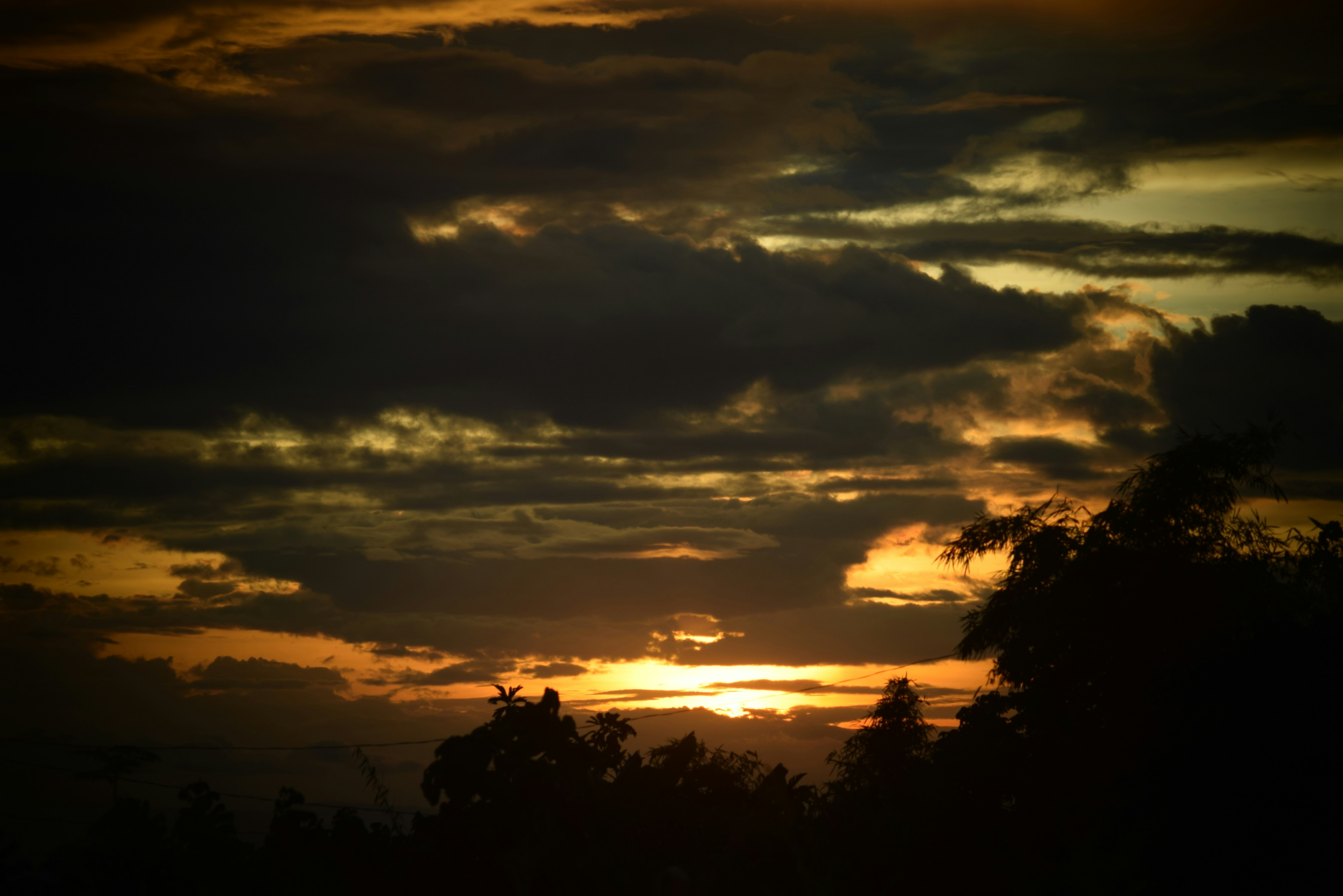 WNP destination photo