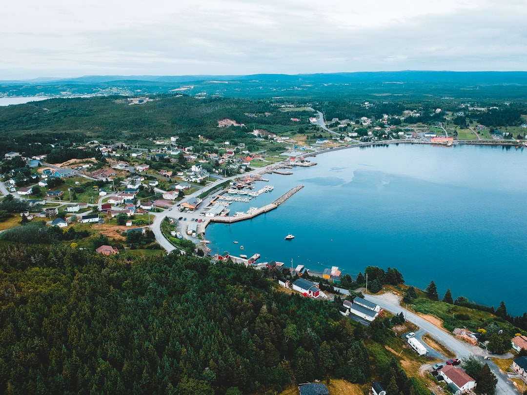 aerial view of city near body of water during daytime