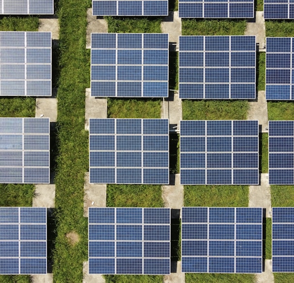 white and blue solar panels