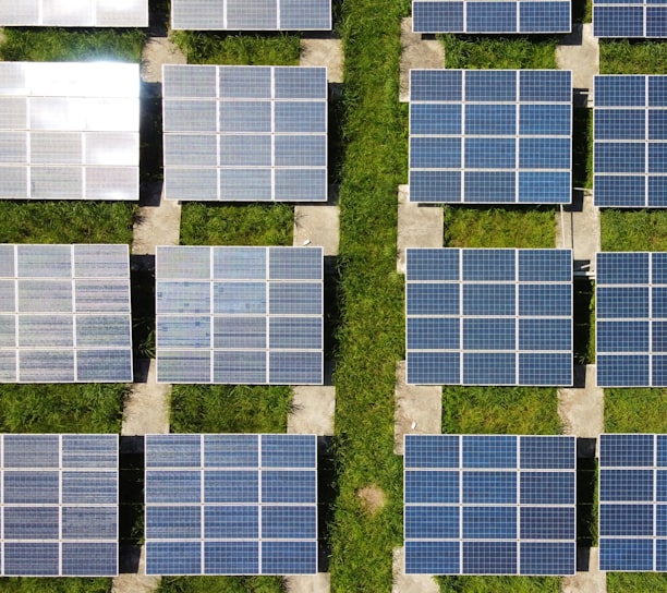 white and blue solar panels