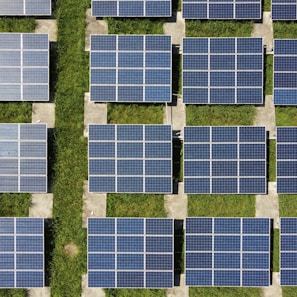 white and blue solar panels