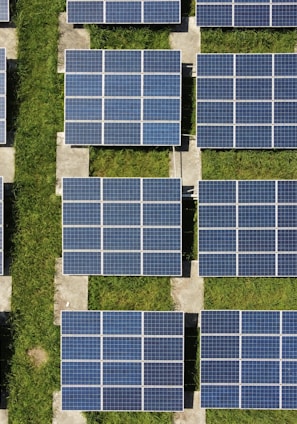 white and blue solar panels