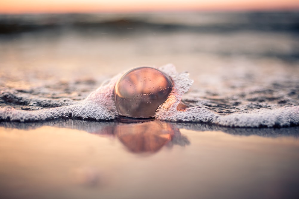 brown and white round ornament on brown sand