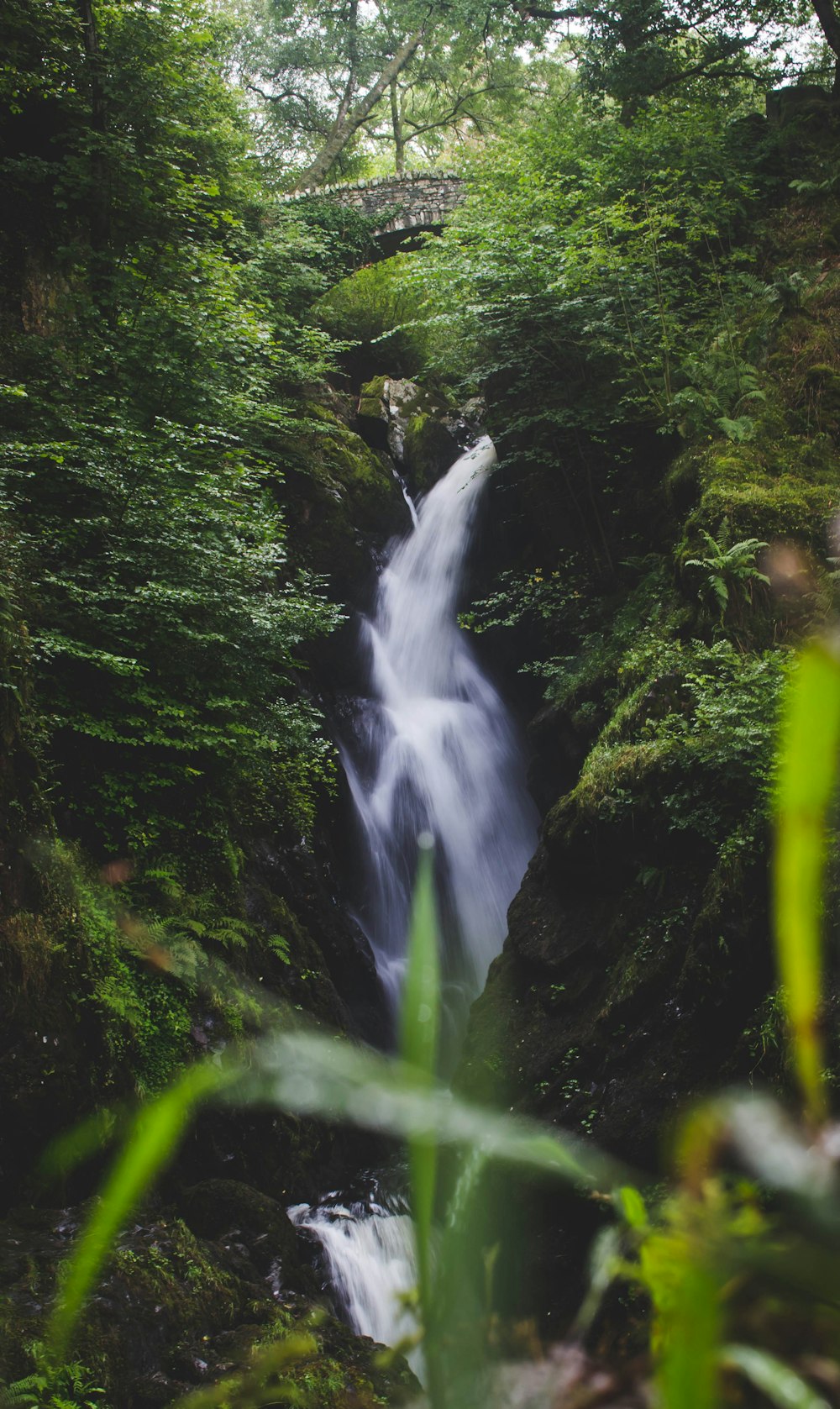 L’eau tombe au milieu des rochers couverts de mousse verte