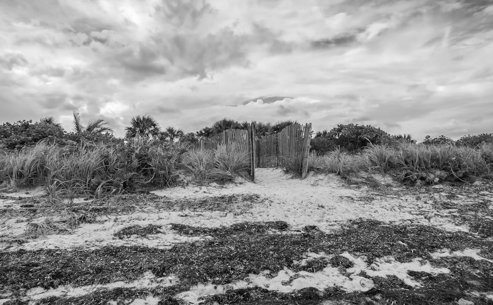 Foto en escala de grises de la valla de madera en el campo de hierba