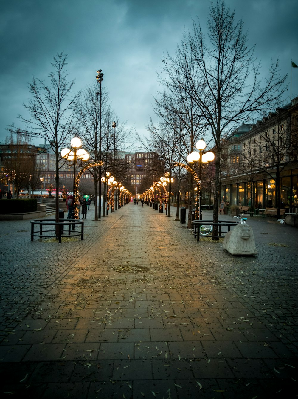 people walking on street during night time