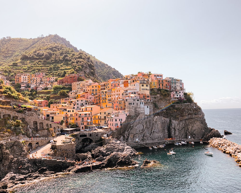 houses on mountain beside body of water during daytime