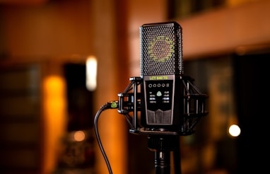 Lewitt microphone with stand.