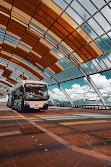 white and black bus on road during daytime