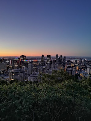 city skyline during night time