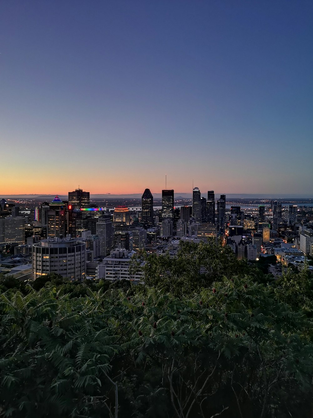 city skyline during night time