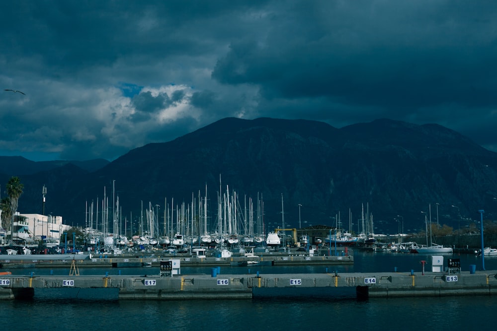 white and gray boat on dock near mountain during daytime