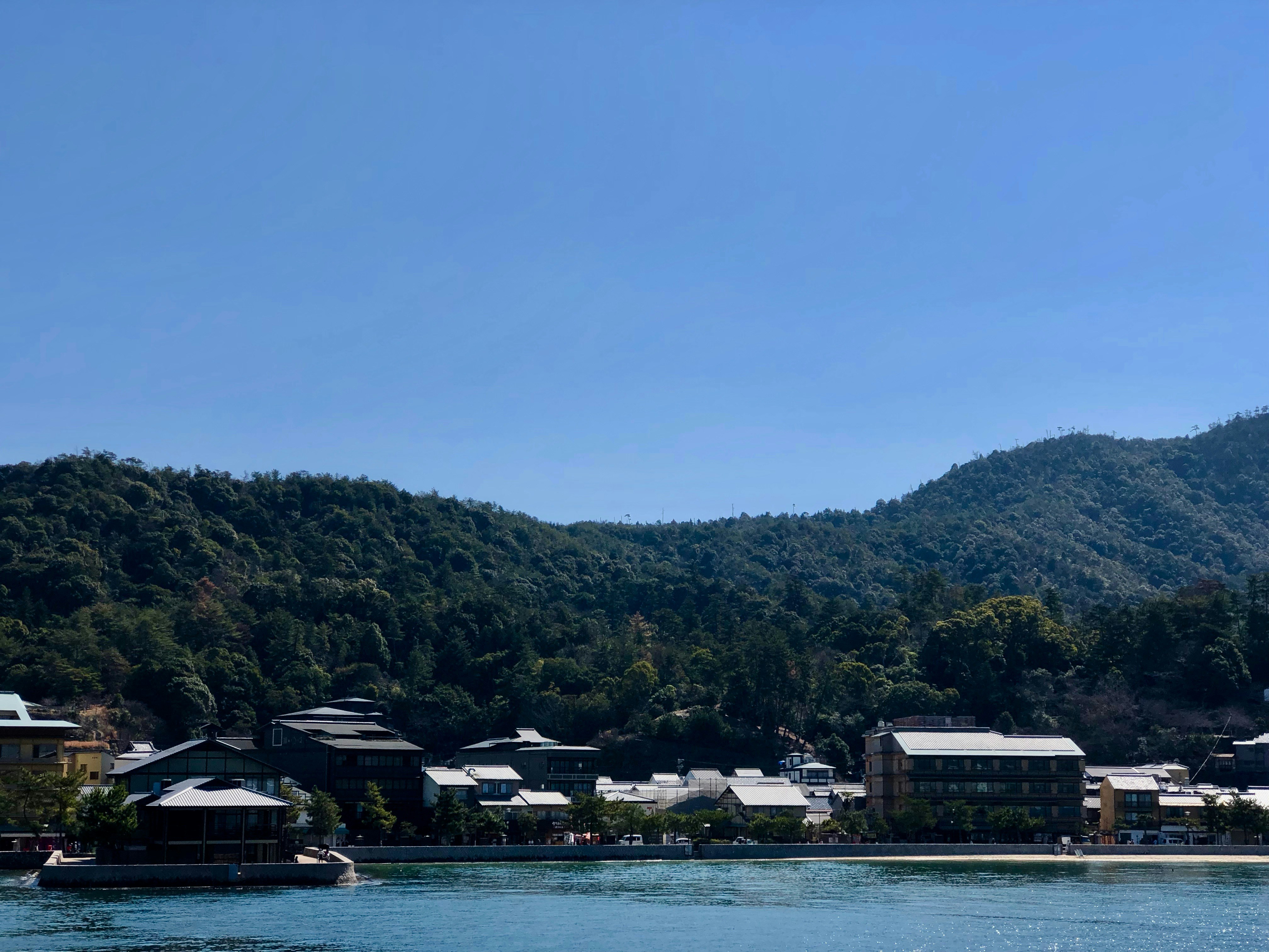 Photo by katrinamulfati