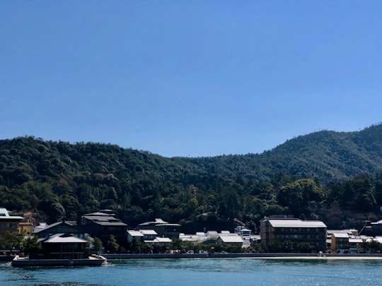 white and brown houses near green mountain during daytime in Hatsukaichi Japan