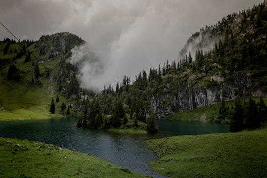 green trees on green grass field near river under white clouds during daytime in Hinderstockesee Switzerland