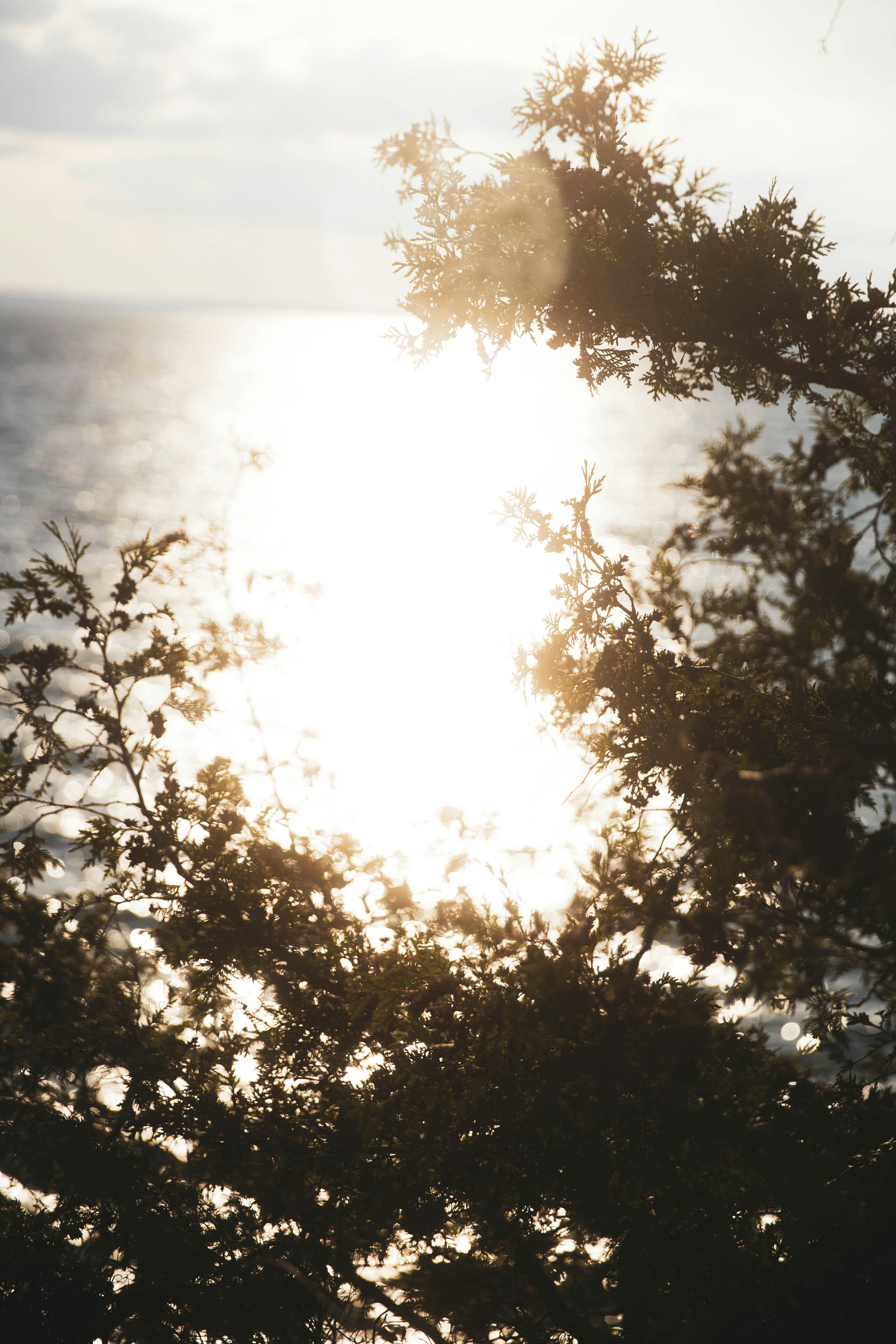 Photo by bradydrogers