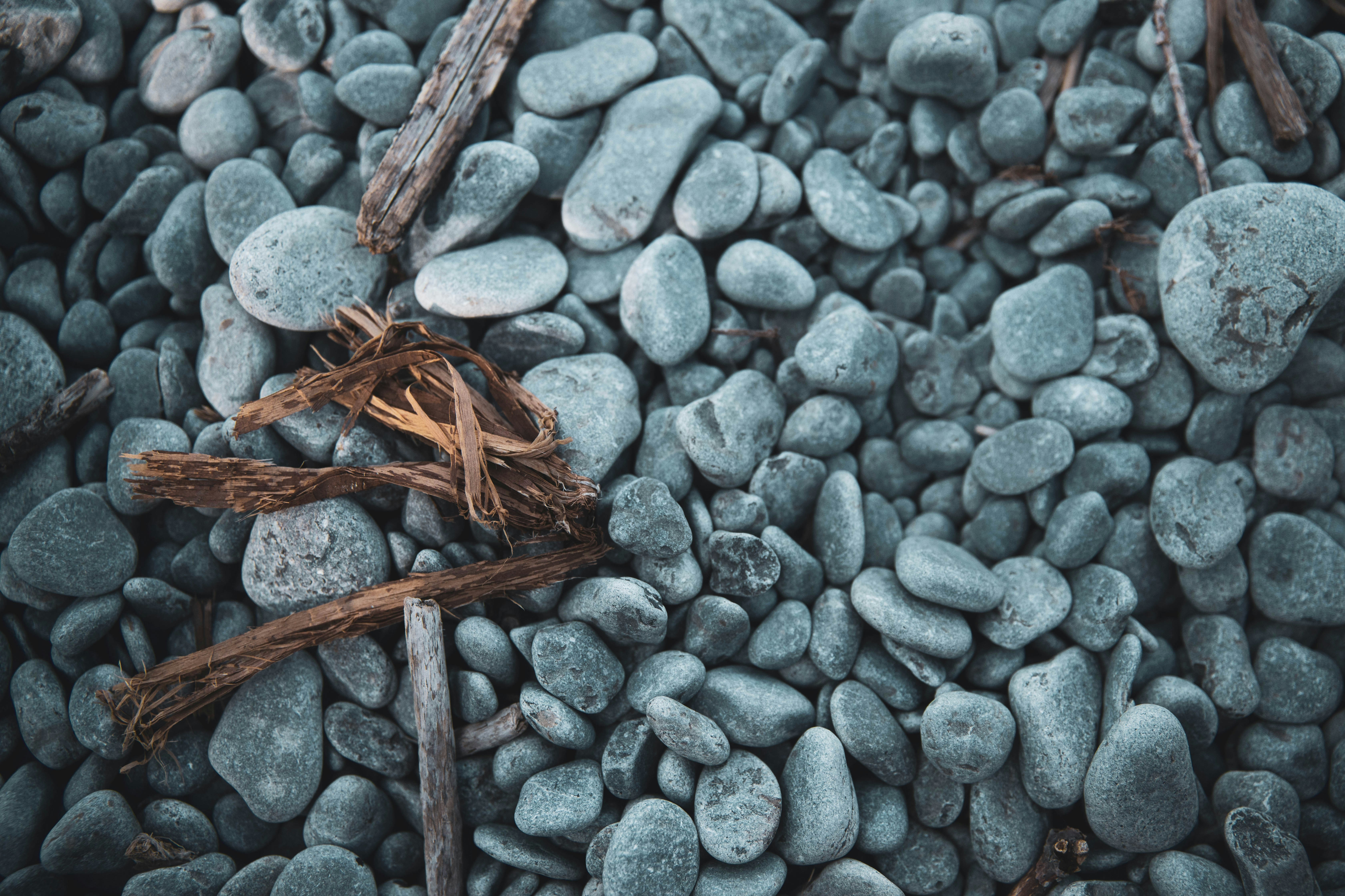 Photo by bradydrogers