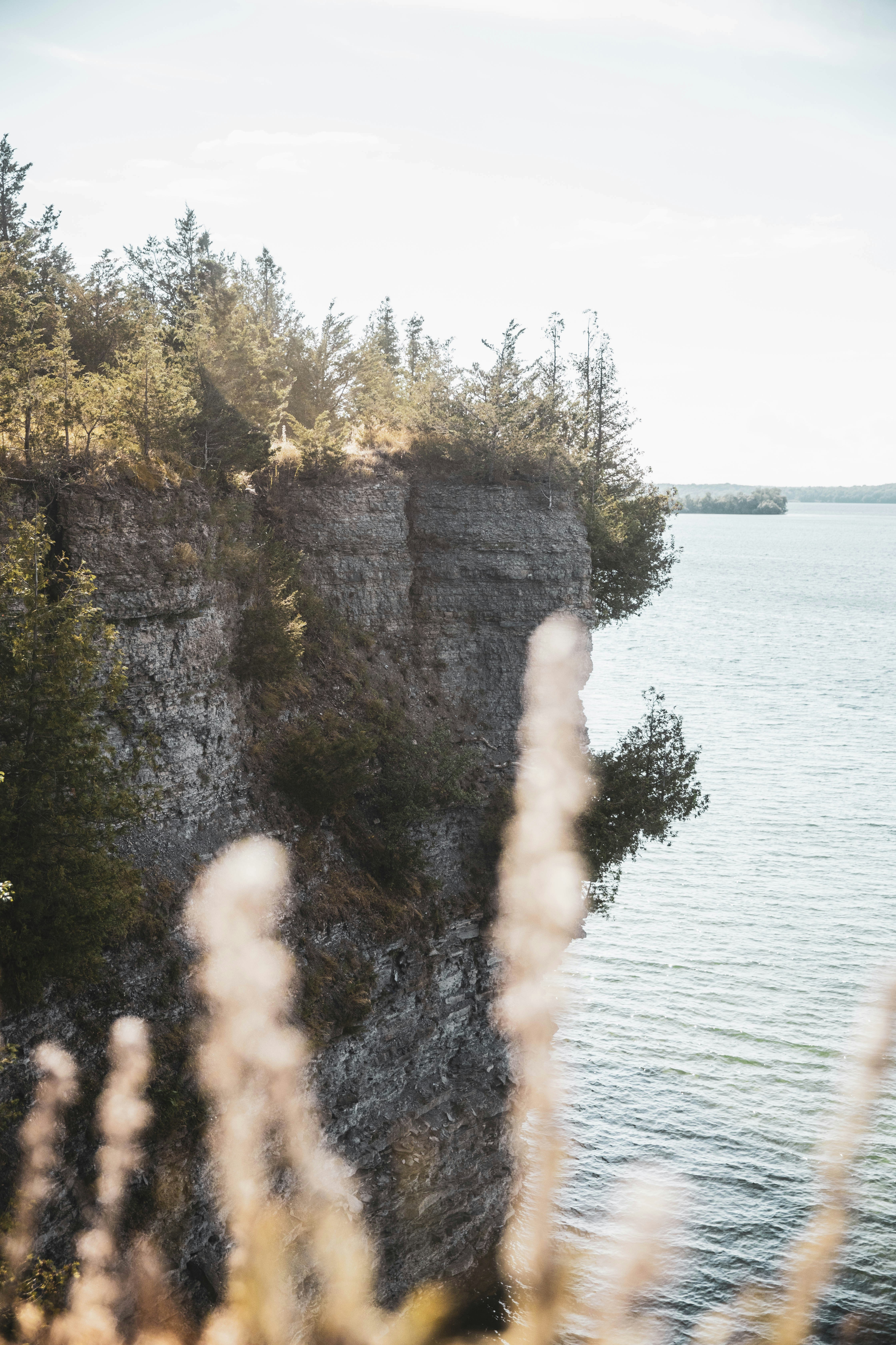 Photo by bradydrogers