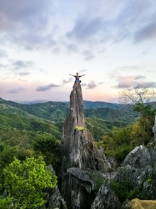brown tree trunk on green grass field near mountain under white clouds during daytime