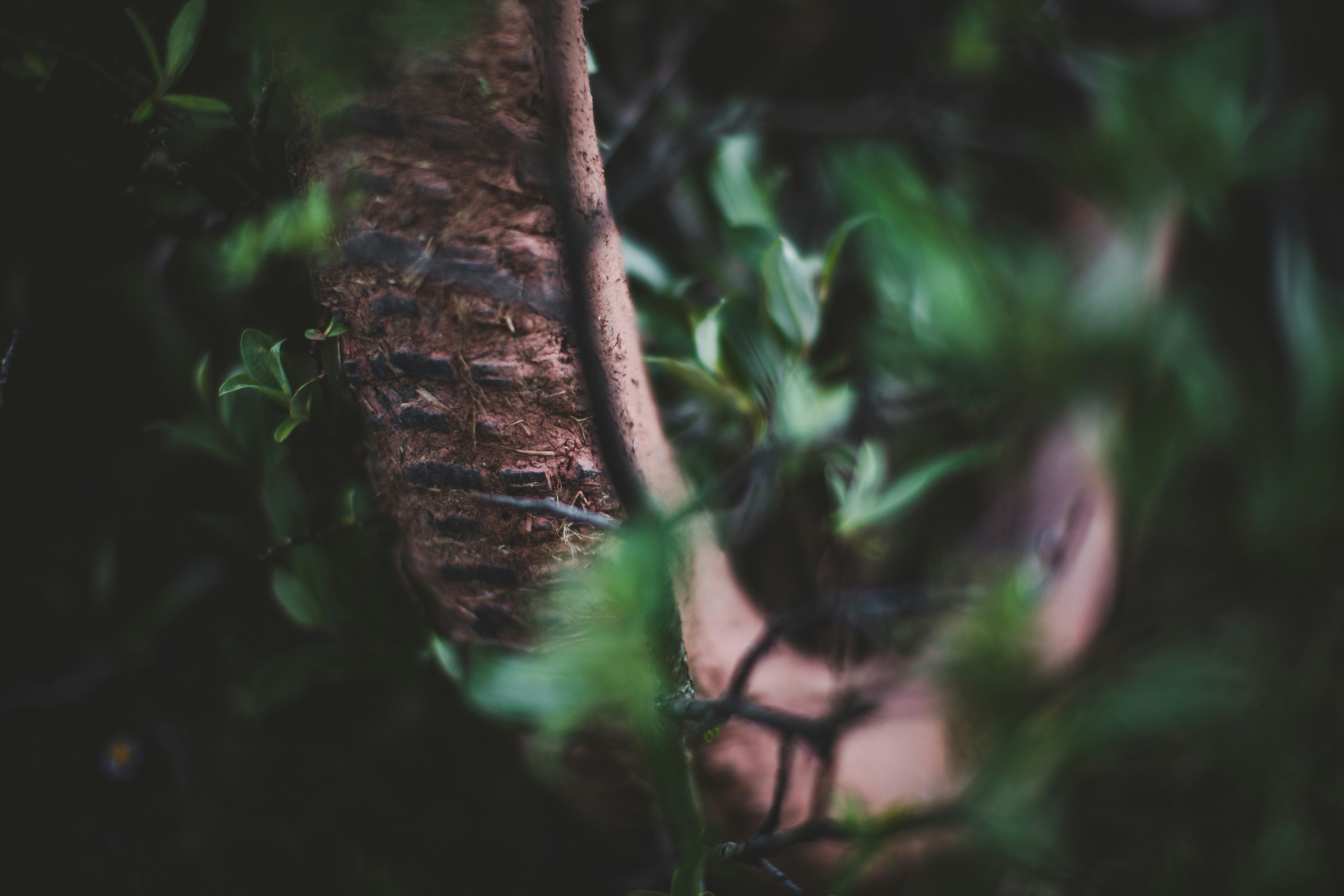 Photo by worldsbetweenlines