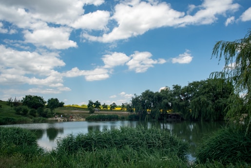 A serene lake surrounded by blooming flowers and buzzing bees.