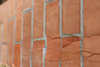 A close-up of a brick wall showing fine cracks under soft natural light.
