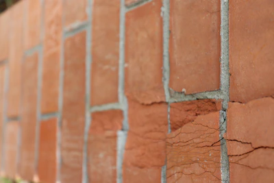 A close-up of a brick wall showing fine cracks under soft natural light.