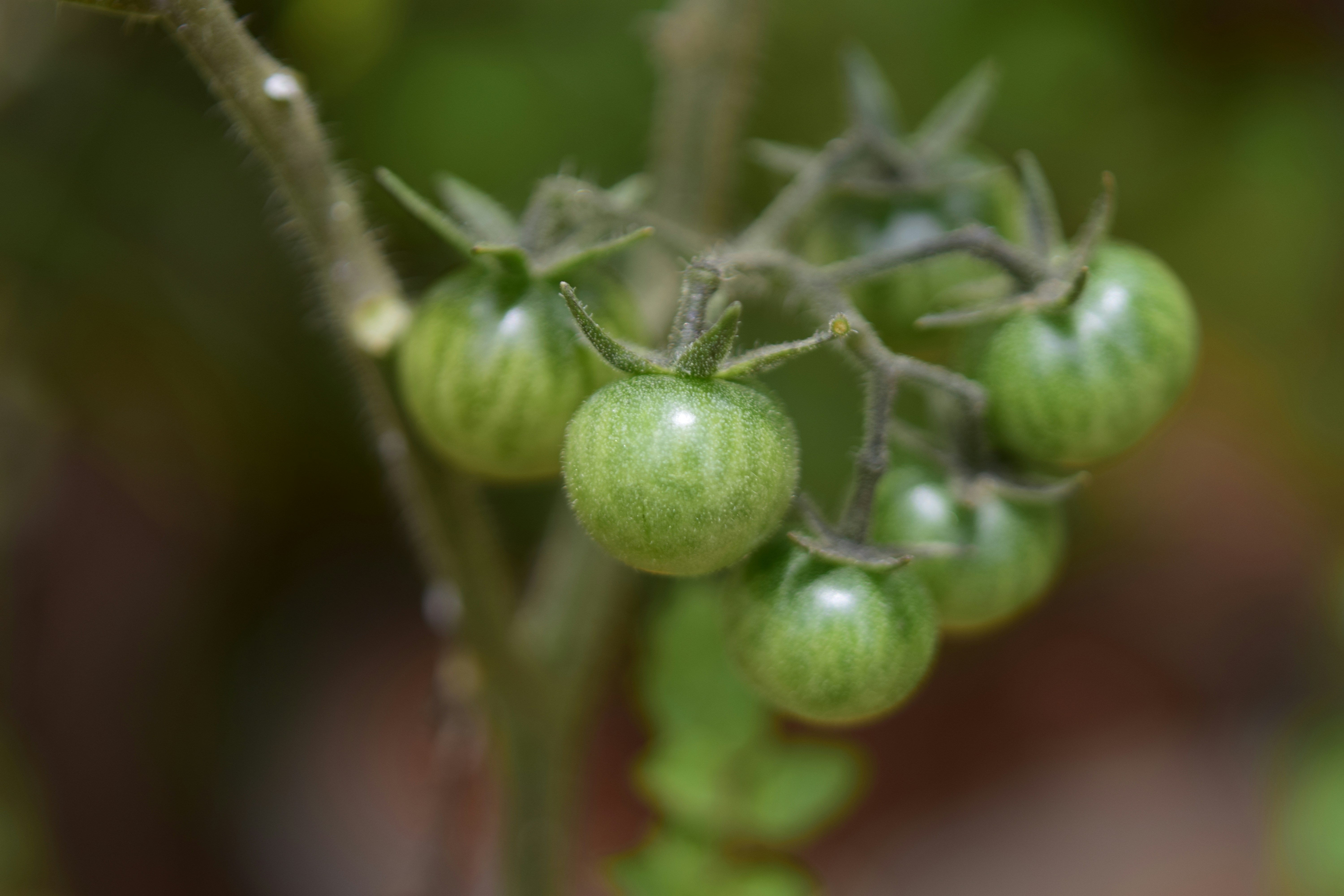 Photo by rrajputphotography