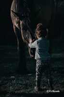 A child gently brushing a horse, eyes closed, feeling peaceful and safe.