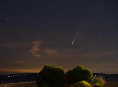 A night sky filled with stars and a prominent comet with a visible tail can be seen. Below the sky, there is a landscape with silhouetted hills and some illuminated city lights in the distance. In the foreground, there are bushes and flowering plants adding some greenery to the scene.
