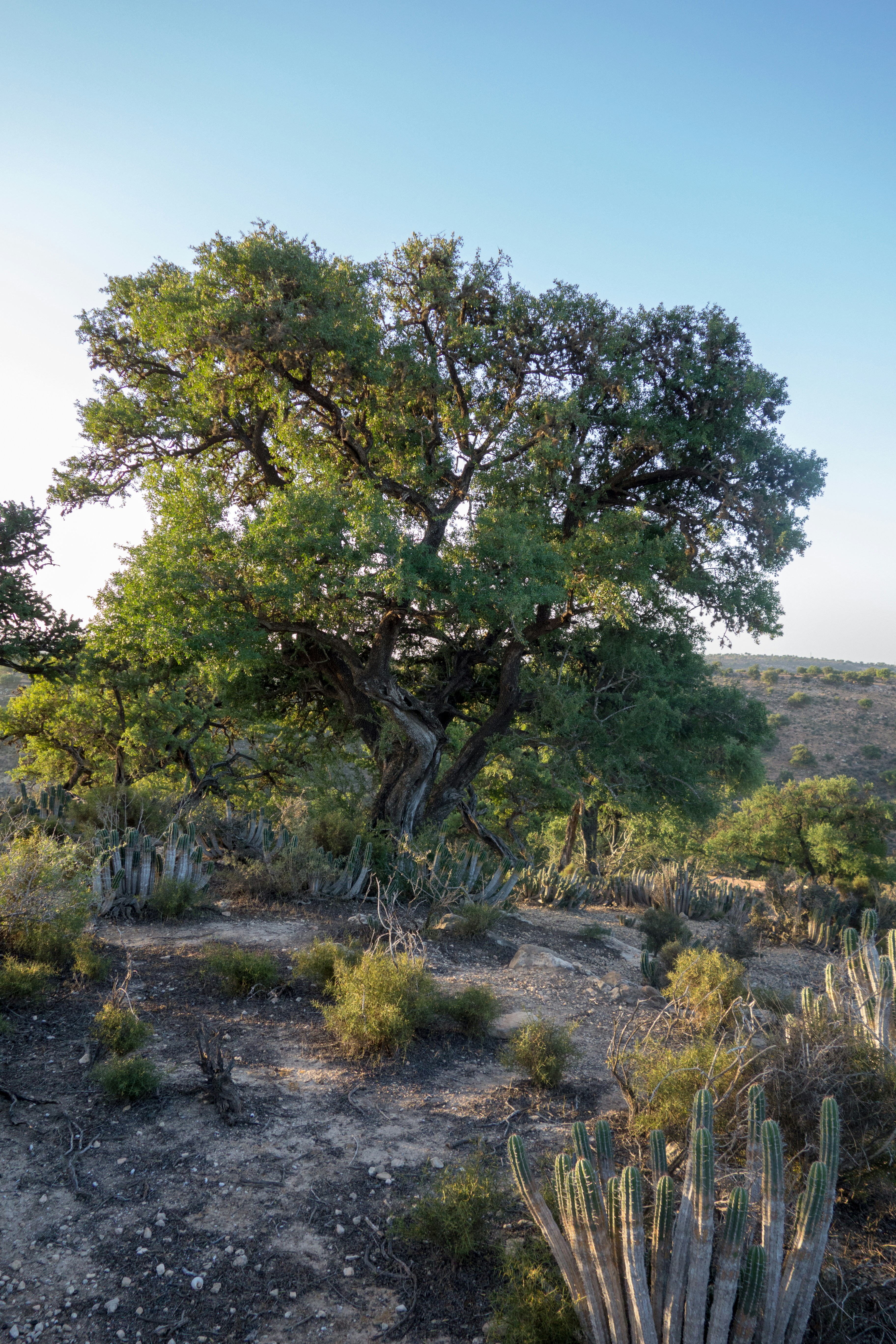 Photo by campingaourir